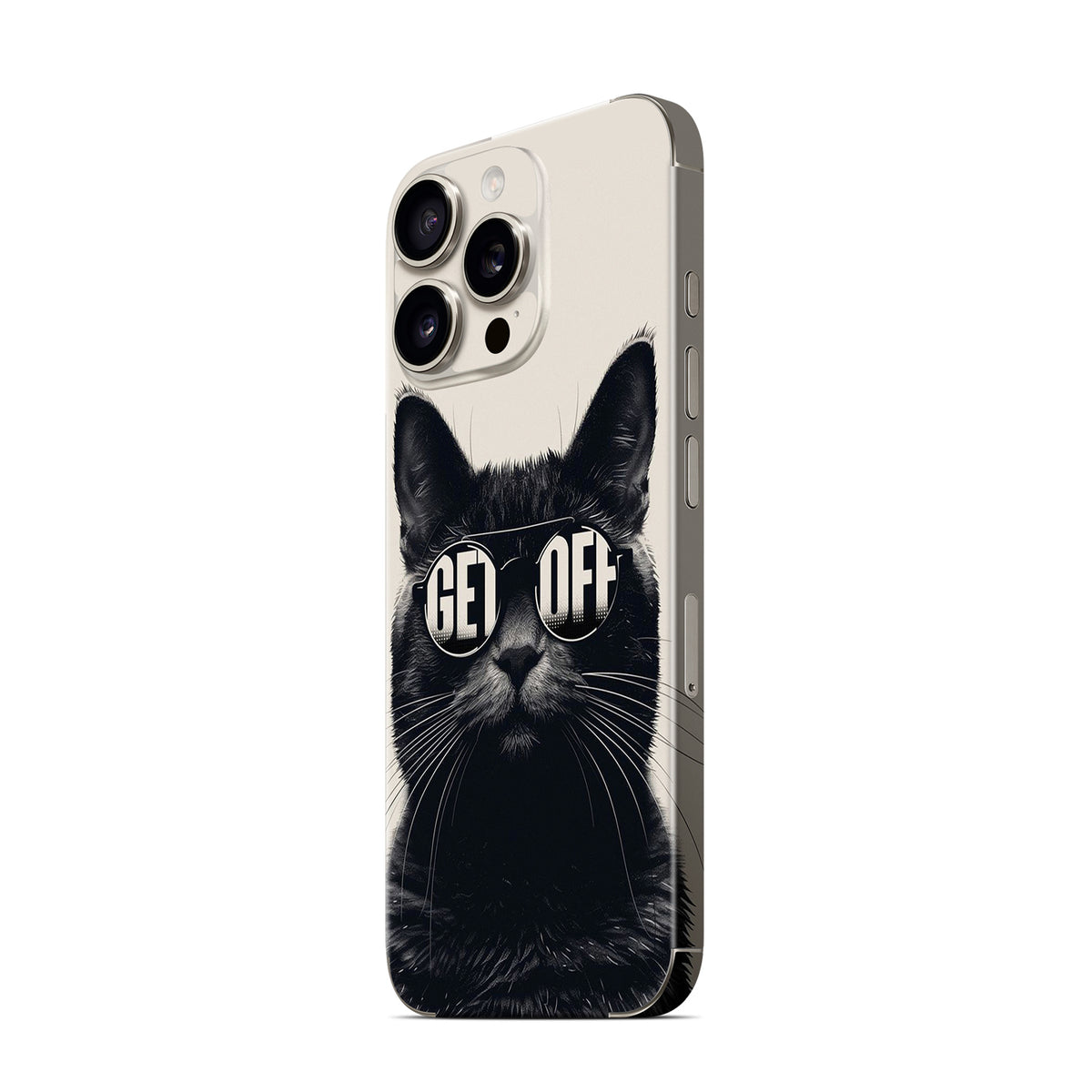 Phone Skin for iPhone 16 Pro Max Natural Titanium — product view 4