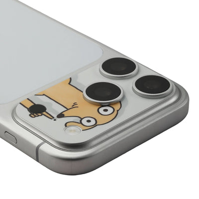 STICKSOO Camera Skin real photo on Silver iPhone 17 Pro, product detail view 1; alternate phone-colour reference photo
